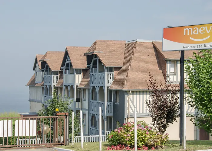 Pierre & Les Tamaris